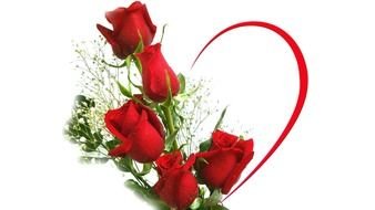Red Love Flowers drawing