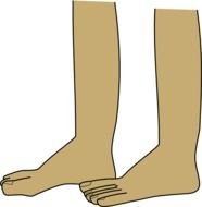 2 Feet Clip Art