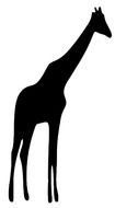 black silhouette of a giraffe on a white background