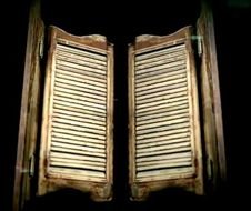 Saloon Doors