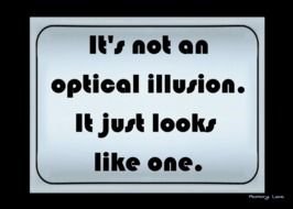 Funny Optical Illusions With Quotes