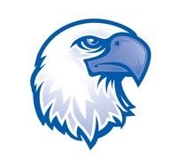blue Eagle Head Logo drawing