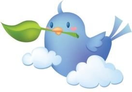 picture of a bird with a green leaf on the clouds