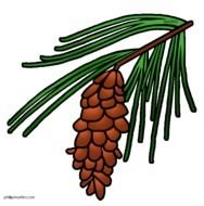 North Carolina State Clip Art N2
