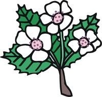 Cartoon Flowers N5
