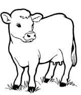 Cute Farm Animal Coloring Pages