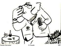 Pork Clip Art N2