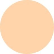 Orange Circle Clip Art N7