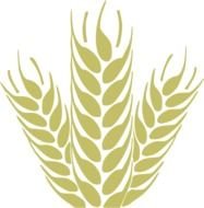 Wheat Grain Clip Art N4