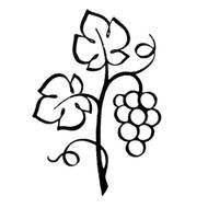 black and white drawing of a vine