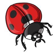 Ladybug Clip Art N32