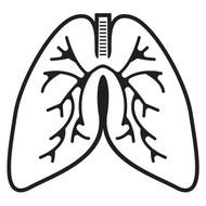 Lungs Clip Art N12