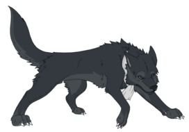 angry wolf with scarf on neck, drawing