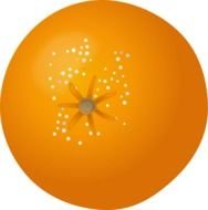 Orange Fruit Clip Art N17