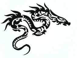 Black And White Dragon Tattoos drawing