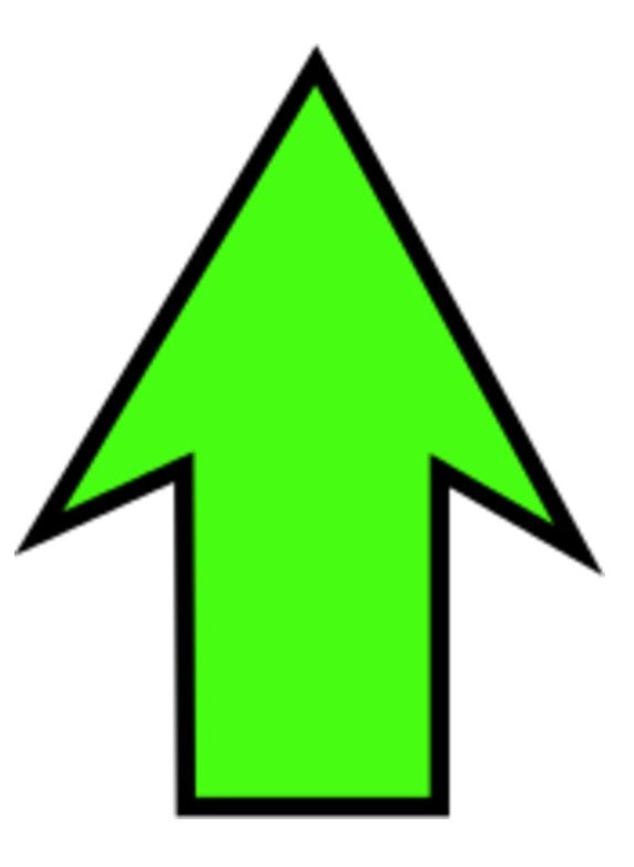 Arrow Pointing Up N7