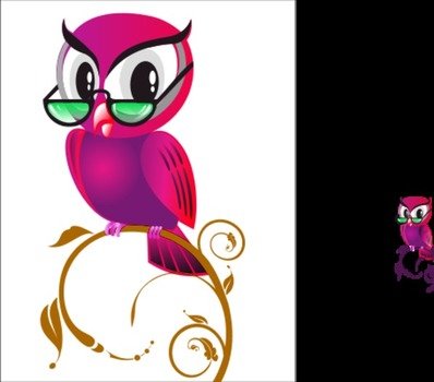 Owl Wearing Glasses
