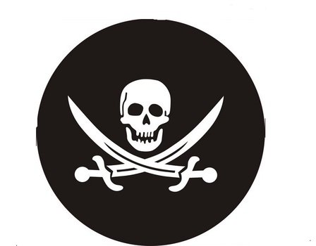PVC Tire Cover