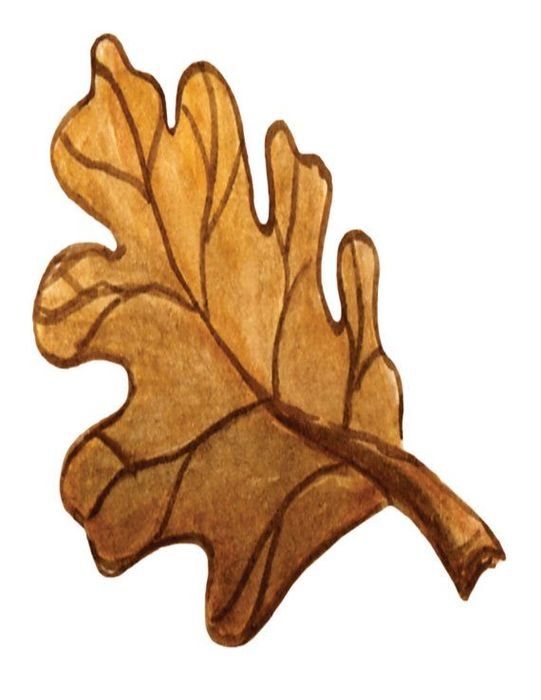 Harvest Festival Brown Oak LeafDigital By SabbysPlace32 On Etsy