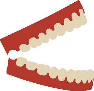 Tooth Clip Art N29