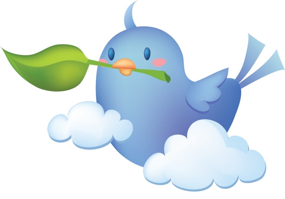 picture of a bird with a green leaf on the clouds
