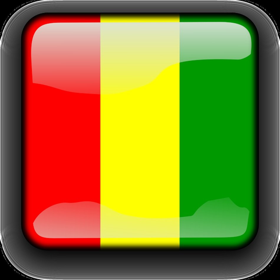 Guinea Flag Country Nationality Square Button