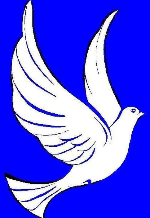 White Dove Clip Art N2