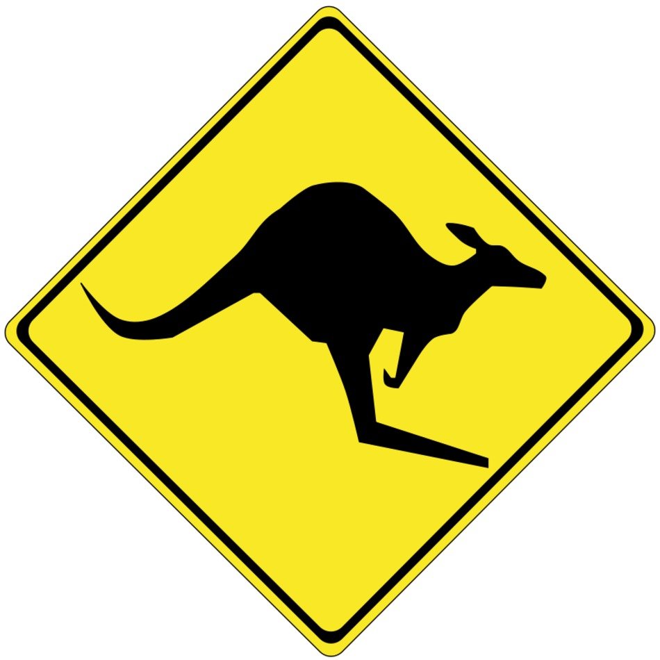 Kangaroo Crossing