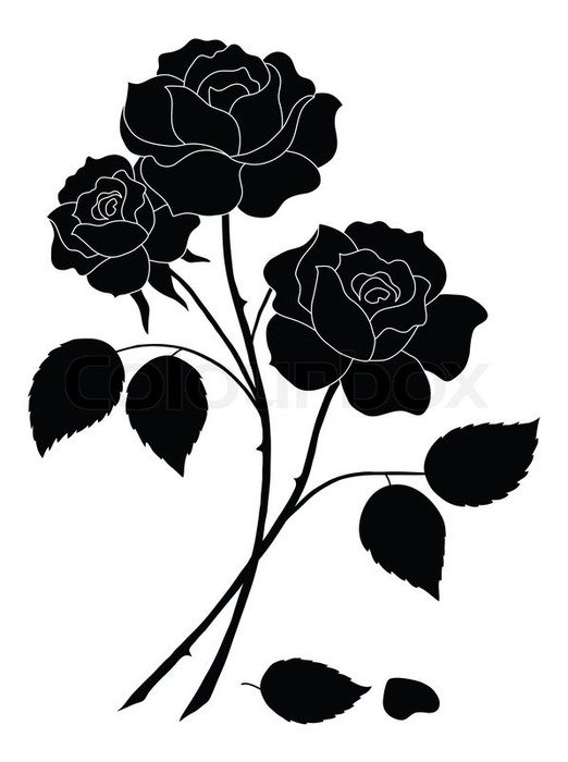 Black and white drawing of the roses clipart free image download