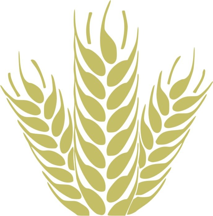 Wheat Grain Clip Art N4