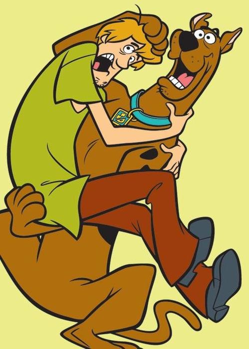 Shaggy Scooby Doo N4