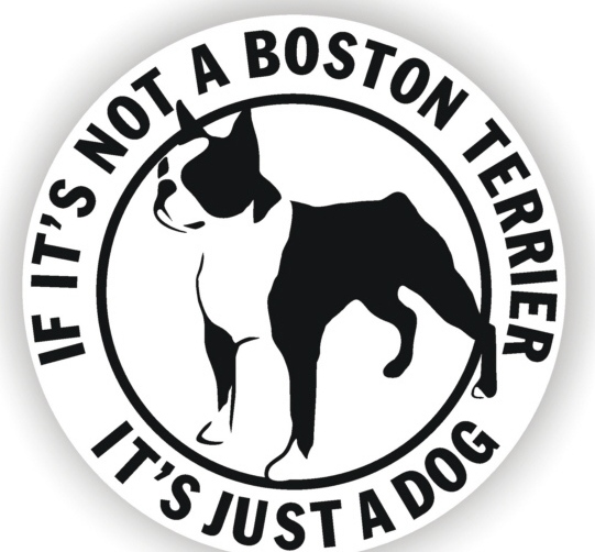 Boston Terrier Clip Art N3 free image download