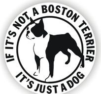 Boston Terrier Clip Art N3