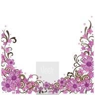 Pink Decorative Floral Borders