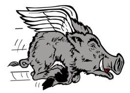 Flying Pig