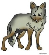 Cartoon Coyote Clip Art N3