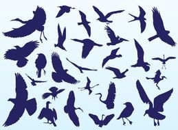 Flying Bird Silhouette drawing