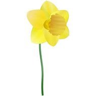 Free Clip Art Daffodils Flower N3