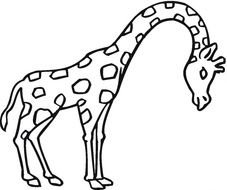 Giraffe Coloring Pages