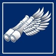 Missing Aircraft Search Sleeve Patch