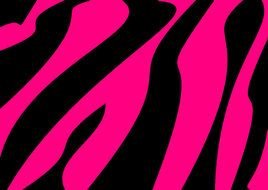 Pink and Black Zebra Print drawing