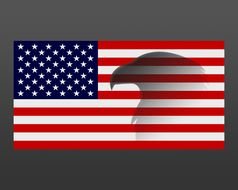 american flag on black