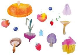 food on a white background