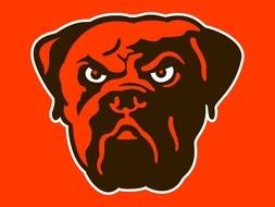 Cleveland Browns Logo N5