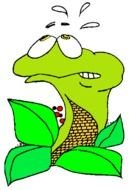 clipart of painted green snake on a black background
