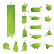 Green Leaf Vector N3