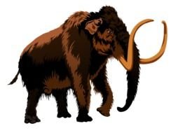Mammoth Clip Art N2