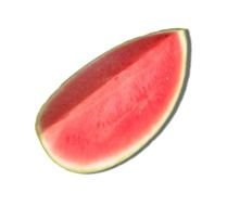 clipart of the watermelon