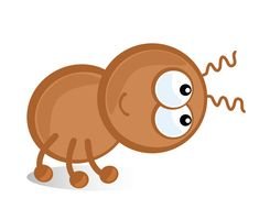 brown insect in graphic representation