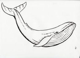 big Blue Whale Drawing